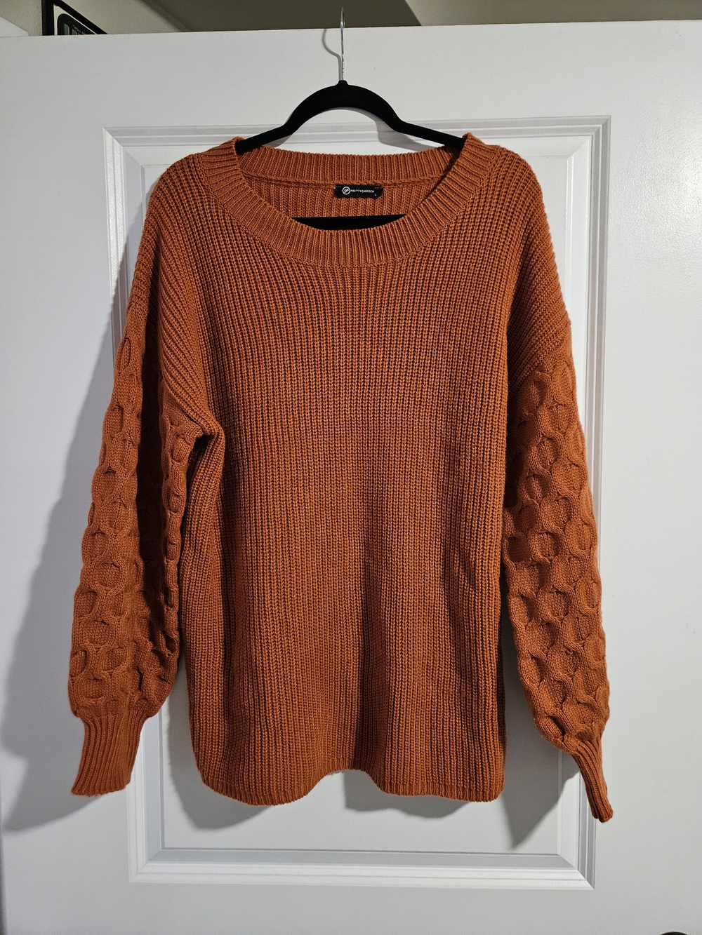 PrettyGarden Burnt Orange Crewneck Knit Sweater